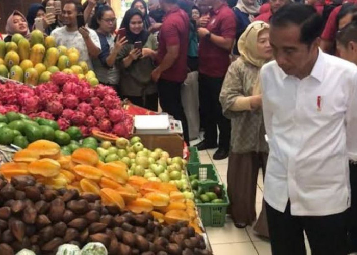 Jokowi Bakal ke Empat Lawang, Berikut 6 Kebiasan Jokowi saat ke Daerah 