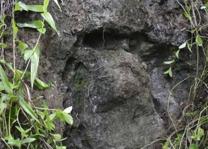 Misteri Peti Batu di Aceh Jaya: Keajaiban yang Menggugah Rasa Penasaran
