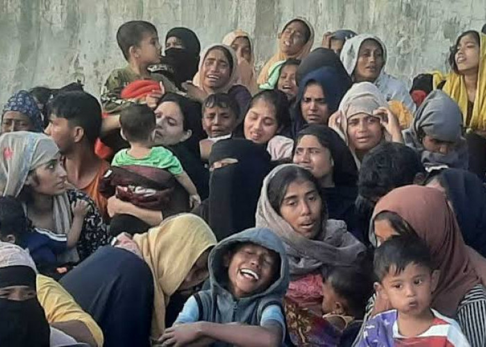 Wow! Ternyata Ini Alasan 1000an Masyarakat Rohingya ke Indonesia, Simak Penjelasanya