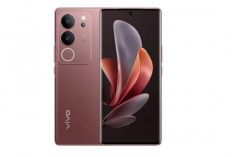 Tren Layar Lengkung 2026: Kini Bisa Dinikmati di HP Harga Menengah