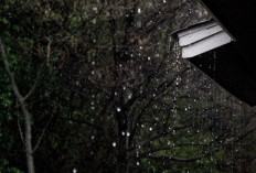 BMKG Ingatkan Potensi Hujan Lebat dan Petir di Sejumlah Wilayah Indonesia Hari Ini