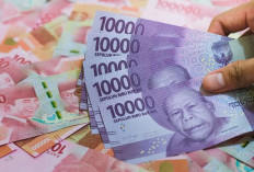 Tunjangan Sertifikasi PPPK Paruh Waktu Resmi Cair, Berlaku Bulanan! Ini 8 Syarat Wajib yang Harus Dipenuhi