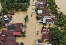 Joko Widodo, Lulusan UGM yang Kini Pimpin Task Force BRIN untuk Penanggulangan Bencana Sumatera