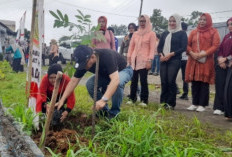Hijaukan Empat Lawang di Usia ke-19, Bupati Pimpin Penanaman Pohon dan Tebar Benih Ikan