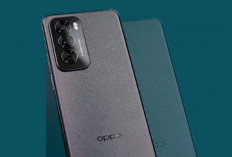 5 HP Oppo 5G Paling Terjangkau Januari 2026, Mulai Rp2 Jutaan Cocok untuk Gaming dan Streaming