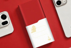 Oppo Rilis Power Bank Edisi Tahun Kuda 100W SuperVOOC, Desain Eksklusif Sarat Makna Keberuntungan