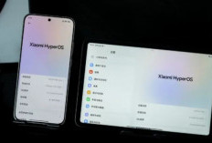 Xiaomi Buka Rekrutmen HyperOS 3.1 Beta Tester, Ini Syarat dan Cara Daftarnya