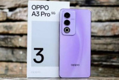 Dari Rp2 Jutaan hingga Flagship, Ini Alasan HP OPPO 5G Jadi Favorit di 2026