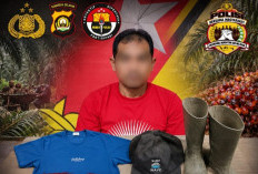 CCTV Tersembunyi Bongkar Pencurian Sawit di Empat Lawang, Pria 46 Tahun Ditangkap Polisi
