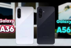 Samsung Galaxy A Series: A56 vs A36, Pilihan Terbaik di Kelas Menengah