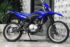 Yamaha TT-R 230 vs Kawasaki KLX230R S, Pilih Trail Santai atau Jagoan Off-Road?
