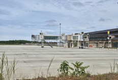 Siap Layani Airbus A380, Bandara IKN Jadi yang Paling Maju di Kalimantan