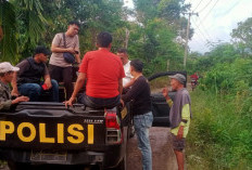 Dua Hari Hilang di Kebun Kopi, Warga Ulu Musi Masih Dicari Polisi dan Masyarakat