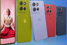 HP Murah Rasa Flagship! Ini Daftar Smartphone Terbaik 2026 dengan Performa Ngebut dan Kamera Tajam