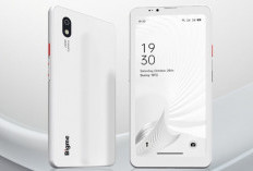 Bigme HiBreak Pro Resmi Hadir, Smartphone E-Ink 5G dengan Android 14 dan Chip Dimensity 1080