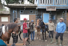 Heboh! Kampung Koboi Tugu Selatan Jadi Magnet Wisata Baru, Bukti Desa BRILiaN BRI Ubah Ekonomi Warga