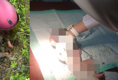 Kondisi Bayi Malang, yang Ditemukan di Semak-semak, Masih Dirawat di Inkubator RSUD Lakukan Perawatan Intensif