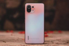 Xiaomi Mi 11 Lite Masih Layak Dibeli 2026? Desain Super Ringan, Layar AMOLED Tajam & Kamera 64MP Jadi Andalan!