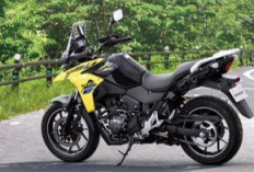 Modal Mesin 2-Silinder dan Dudukan Box Bawaan, Suzuki V-Strom 250 2026 Jadi Motor Touring Idaman