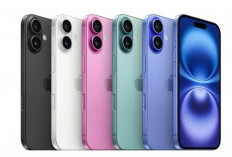 Daftar iPhone Kamera 0,5 Terbaik Februari 2026, Hasil Jepretan Lebih Luas dan Tajam