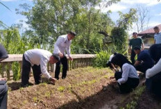 Dukung Program Ketahanan Pangan, Lapas Empat Lawang Lakukan Pengecekan Budidaya Kangkung