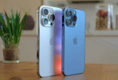 Update Harga iPhone 14 Februari 2026 di Indonesia, Turun Drastis! Mulai Rp8 Jutaan, Masih Layak Dibeli?