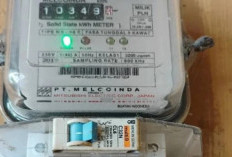 Tarif Listrik PLN 28–31 Desember 2025 Tetap, Ini Rincian untuk Semua Golongan