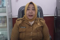 DP3A Empat Lawang Tangani 26 Kasus Kekerasan terhadap Perempuan dan Anak 2026, Korban Diminta Berani Melapor
