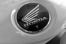 Dulu Diremehkan, Kini Jadi Motor Kalcer: Honda Spacy Bangkit Diburu Anak Muda