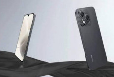 Rekomendasi HP Terbaik 2026: Ini Daftar Smartphone Paling Worth It, Nomor 1 Bikin Kaget!