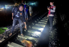 BREAKING NEWS: Seorang Perempuan Tewas Ditabrak Kereta Api di Tebing Tinggi