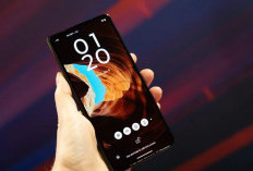 Motorola Bikin Heboh! Razr Fold Muncul dengan Layar Raksasa & Desain Lembut