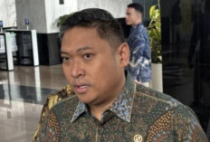 Anggaran MBG 2027 Tembus Rp240 Triliun, BGN Ungkap 97 Persen untuk Makanan