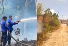 3 Hektare Lahan Terbakar di Perumnas Ajib Empat Lawang, Damkar Bergerak Cepat Cegah Api Merambat ke Permukiman
