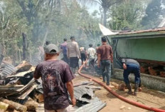Kebakaran Hebat di Muarapinang Empat Lawang, Empat Rumah Terdampak, Kerugian Capai Rp250 Juta