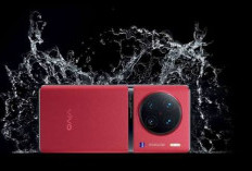 Vivo X90 Pro+ Jadi Rekomendasi HP dengan Jaringan Stabil di Daerah Terpencil