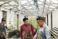 LAPAS Empat Lawang Lakukan Perawatan Tanaman Melon untuk Dukung Program Ketahanan Pangan