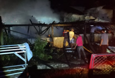 Pondok Pesantren Darul Hufadz di Muara Pinang Terbakar, Dua Bangunan Ludes