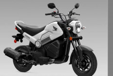 Honda Navi 2026: Mini Bike Unik Bermesin 109 Cc, Transmisi Otomatis Jadi Andalan