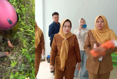 Geger! Bayi Perempuan Ditemukan Terlantar di Pinggir Jalan Empat Lawang, Dirawat Intensif di RSUD