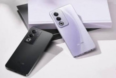 Cari HP OPPO 3 Jutaan Terbaik? Ini 4 Pilihan Tangguh dan Responsif di 2026