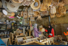 Ungkit Pertumbuhan UMKM dan Ekonomi Kerakyatan, BRI Berhasil Salurkan KUR Senilai Rp31,42 Triliun hingga Febru