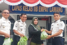 Panen Selada Organik, Lapas Kelas IIB Empat Lawang Wujudkan Pembinaan Produktif dan Berbagi untuk Masyarakat