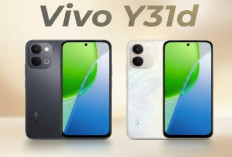 Vivo Y31d Pro Resmi Meluncur di Indonesia, Baterai 7000 mAh dan Fast Charging 90W Jadi Andalan