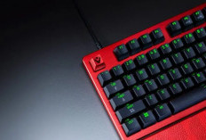 Razer Gandeng Sentinels, Luncurkan Huntsman V3 Pro TKL 8KHz Edisi Khusus Esports