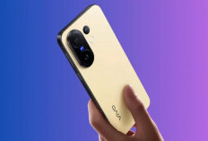 Vivo Y28s 5G Muncul di Geekbench, Bawa Dimensity 6300 dan RAM 6GB