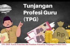 Kabar Gembira! Tunjangan Guru ASN dan Non-ASN Naik, Kini Cair Setiap Bulan Langsung ke Rekening