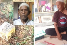 Nestapa Kakek Manap: Klaim Tanah Warisan 2 Hektare Dicaplok PT SBI, Delapan Tahun Berjuang Tanpa Ganti Rugi