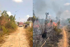 Breaking News! Terjadi Kebakaran Lahan Dekat Permukiman Warga di Tebing Tinggi Empat Lawang 