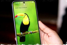 Bocoran Samsung Galaxy A57 Terungkap: Bodi Super Tipis 6,9 mm, Kamera Baru, Performa Nyaris Flagship